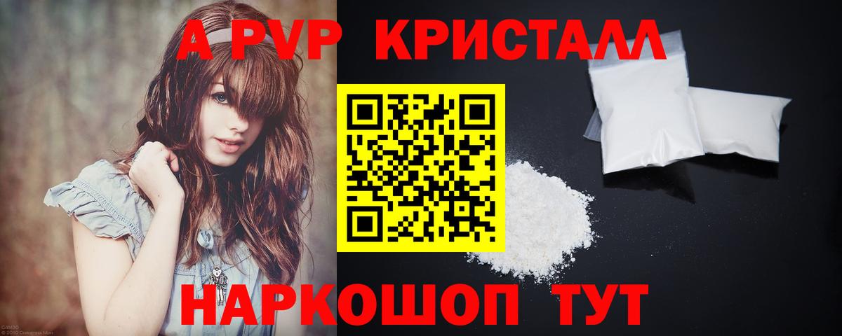 A PVP СК КРИС Гудермес