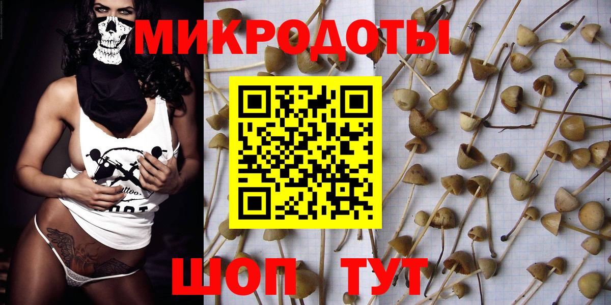 Галлюциногенные грибы Magic Shrooms Гудермес